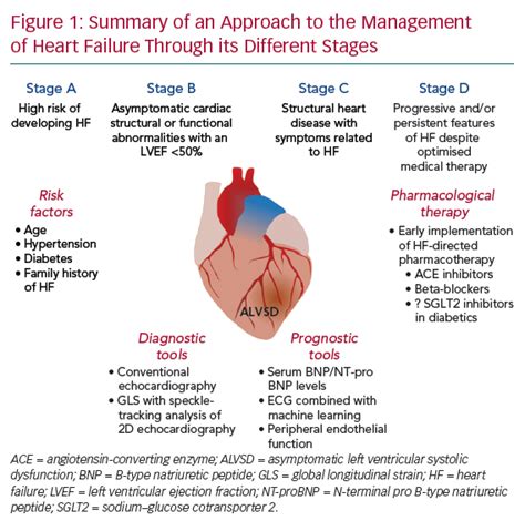 mild lv systolic dysfunction treatment|moderately decreased lv systolic function.